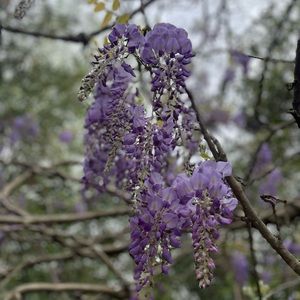 Meet your Posher, Johnathan